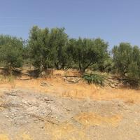 Земельный участок в Греции, Крит, 1000 кв.м.