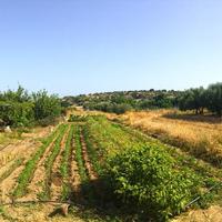 Land plot in Greece, Crete, 270 sq.m.