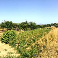 Land plot in Greece, Crete, 270 sq.m.