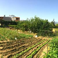 Land plot in Greece, Crete, 270 sq.m.