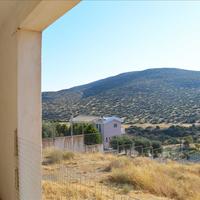 Other in Greece, Attica, Athens, 580 sq.m.