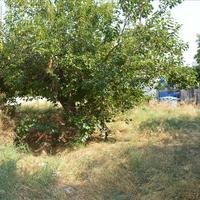 Land plot in Greece, Attica, Athens