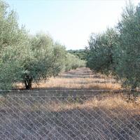 Земельный участок в Греции, Центральная Македония, Центр