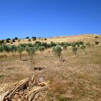 Земельный участок в Греции, Центральная Македония, Центр