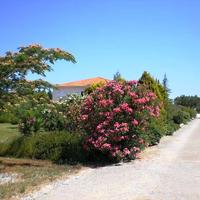 Вилла в Греции, Центральная Македония, Центр, 205 кв.м.