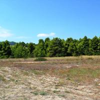 Land plot in Greece, Central Macedonia, Center