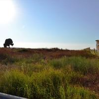 Земельный участок в Греции, Центральная Македония, Центр