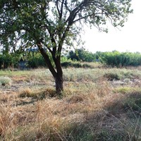 Business center in Greece, Central Macedonia, Center, 500 sq.m.