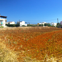 Земельный участок в Греции, Крит, Ираклион, 450 кв.м.