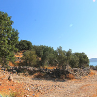 Земельный участок в Греции, Крит, 6000 кв.м.