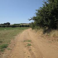 Land plot in Greece, Dode