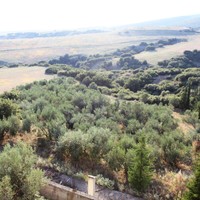 Другое в Греции, Центральная Македония, Центр, 602 кв.м.