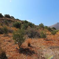 Land plot in Greece, Crete, 4000 sq.m.