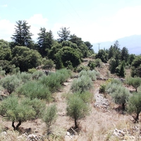 Земельный участок в Греции, Крит, Ханья