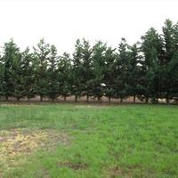 Other in Greece, Central Macedonia, Center, 460 sq.m.