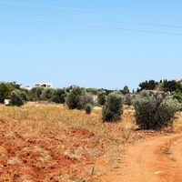 Land plot in Greece, Dode