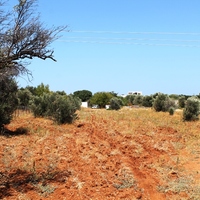 Land plot in Greece, Dode