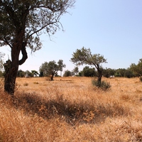 Land plot in Greece, Dode