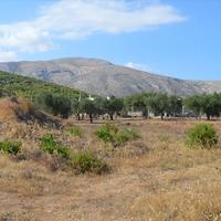 Land plot in Greece, Attica, Athens