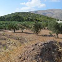 Land plot in Greece, Attica, Athens