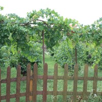 Другое в Греции, Ионические острова, 200 кв.м.