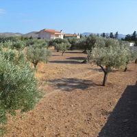 Land plot in Greece, Attica, Athens