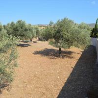 Land plot in Greece, Attica, Athens