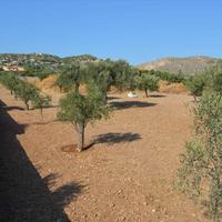 Land plot in Greece, Attica, Athens