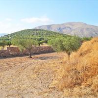 Land plot in Greece, Attica, Athens
