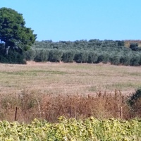 Земельный участок в Греции, Центральная Македония, Центр
