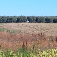 Земельный участок в Греции, Центральная Македония, Центр