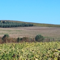 Земельный участок в Греции, Центральная Македония, Центр