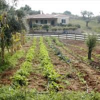Земельный участок в Греции, Пелопоннес