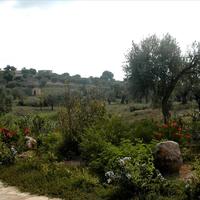 Земельный участок в Греции, Пелопоннес