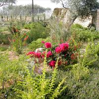 Земельный участок в Греции, Пелопоннес