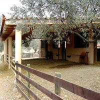 Земельный участок в Греции, Пелопоннес