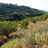 Land plot in Greece, Crete, 2000 sq.m.