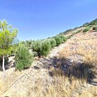 Земельный участок в Греции, Крит, 3444 кв.м.