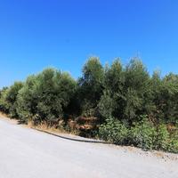 Land plot in Greece, Crete, 5000 sq.m.