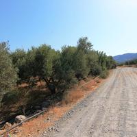 Land plot in Greece, Crete, 5000 sq.m.