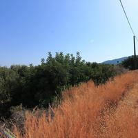 Земельный участок в Греции, Крит, 2000 кв.м.