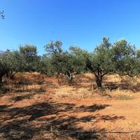 Land plot in Greece, Crete, 2000 sq.m.
