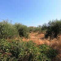 Land plot in Greece, Crete, 2000 sq.m.