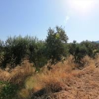 Land plot in Greece, Crete, 2000 sq.m.