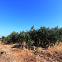 Land plot in Greece, Crete, 2000 sq.m.