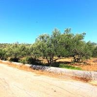 Land plot in Greece, Crete, 5500 sq.m.