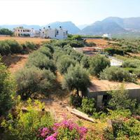 Земельный участок в Греции, Крит, 2000 кв.м.