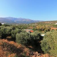 Земельный участок в Греции, Крит, 2000 кв.м.