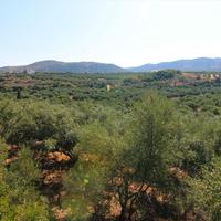 Земельный участок в Греции, Крит, 5000 кв.м.