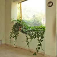 Отель (гостиница) в Греции, Центральная Греция, Vo, 891 кв.м.